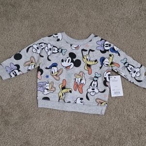 Disney Kids Character Sweatshirt - Gray and Multicolor 9m
